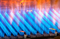 Woodrising gas fired boilers