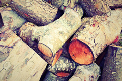 Woodrising wood burning boiler costs